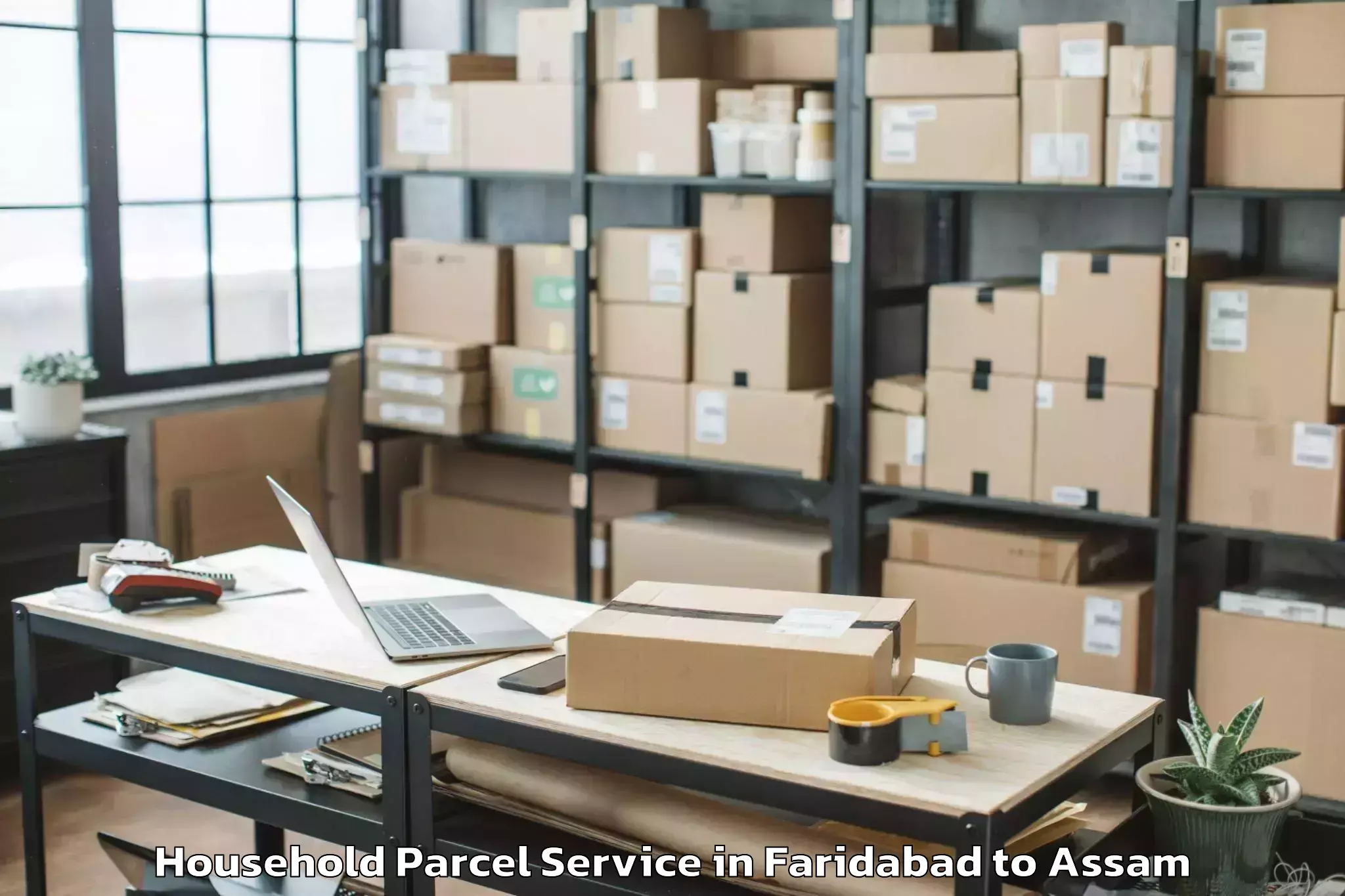 Trusted Faridabad to Moranhat Town Household Parcel